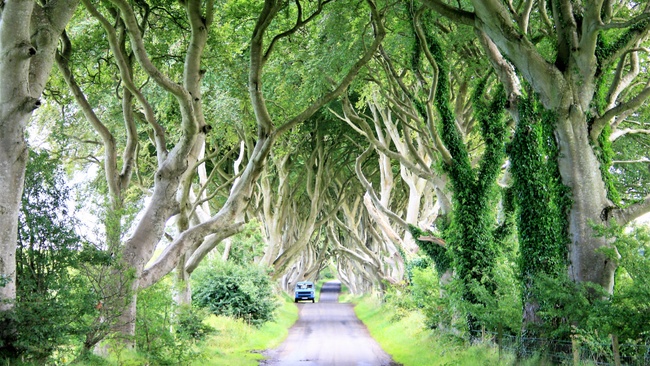 Lück aus 49 – Das große Reise-Lotto. Seit 30 Jahren im Bulli durch Europa