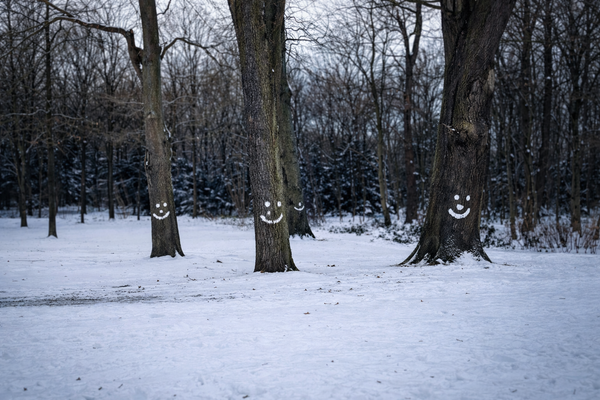 What's happening in February? - Events in Bremen