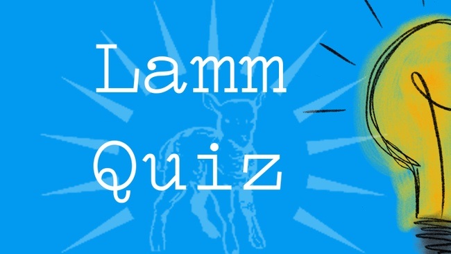 Lamm Quiz