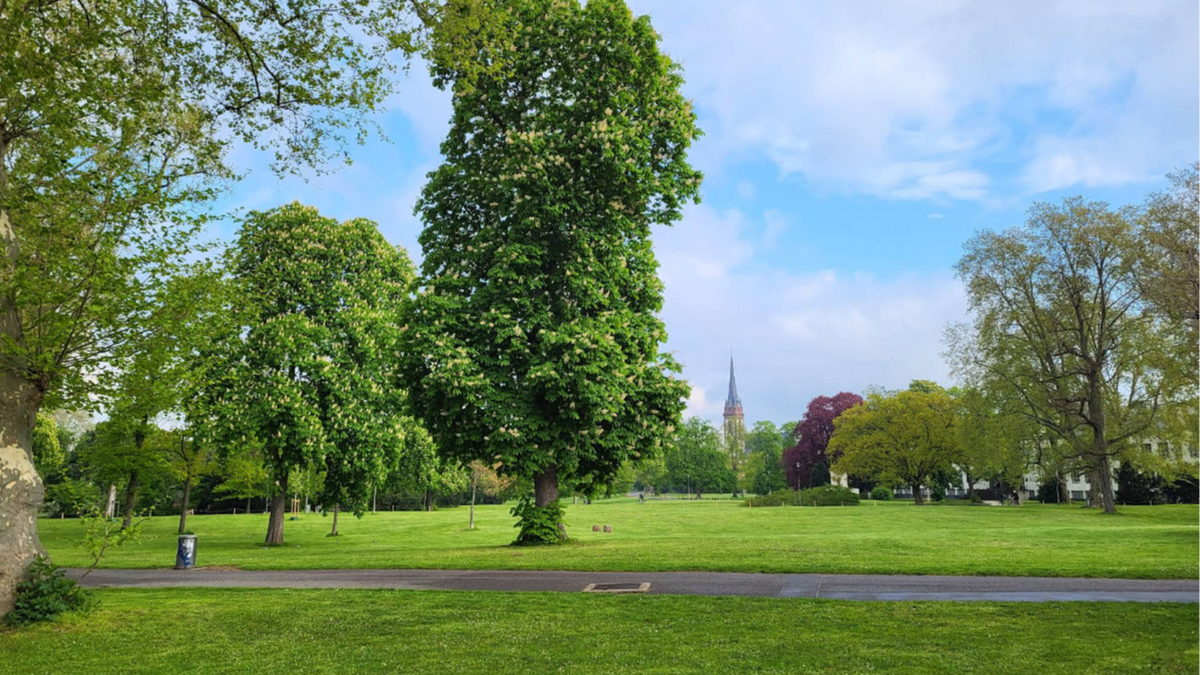 Swing Social für Anfänger (Outdoor)