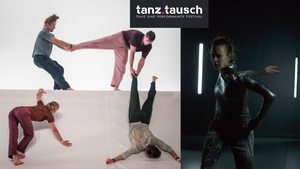 Double Bill: Vaya Art of Human Movement & Alexandra Waierstall