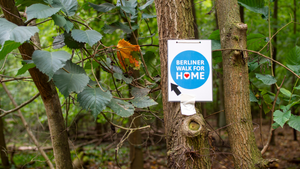 "Berliner Walk for Home" Spendenwanderung für obdach- und wohnungslose Menschen