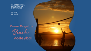 Come Dogether: Beach Volleyball