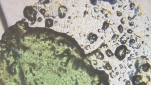 (I) disappear (AT) // auf lösung (AT)