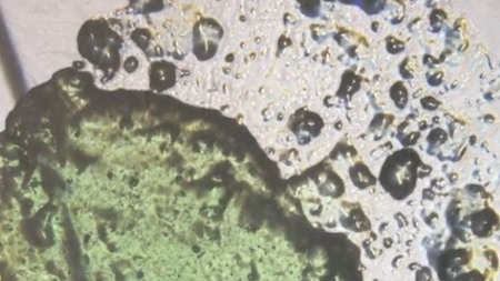 (I) disappear (AT) // auf lösung (AT)