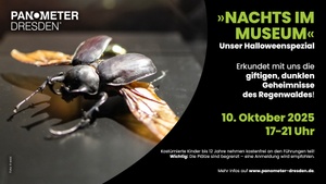 NACHTS IM MUSEUM - unser Halloweenspezial