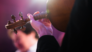 Dein persönliches Notfallkonzert & Lieblingsmusik