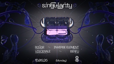 ◥◣SINGULARITY◥◣
