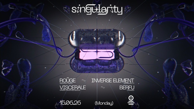 ◥◣SINGULARITY◥◣
