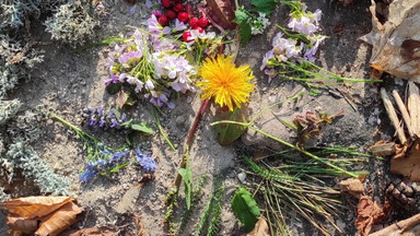 Herbstanfang in der Natur