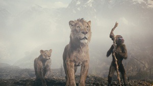 MUFASA: DER KÖNIG DER LÖWEN | Open Air Kino