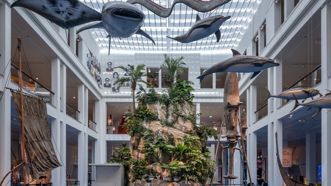 Inseltour – Motto-Event zur Dauerausstellung „Der blaue Kontinent“