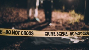 (Medien)Phänomen True Crime – zwischen Sensation und Wirklichkeit
