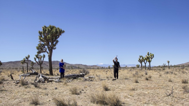 Ausstellung "beyond tongues – Synästhetische Übertragung" • Sarah Oh-Mock & Bongjun Oh