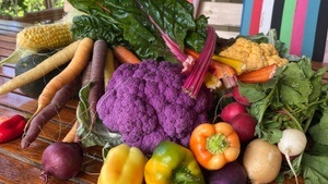 Fermentation Easy-Dein Einstieg ins fermentieren