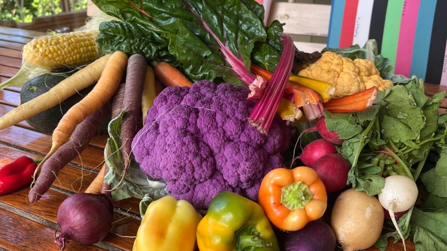 Fermentation Easy-Dein Einstieg ins fermentieren