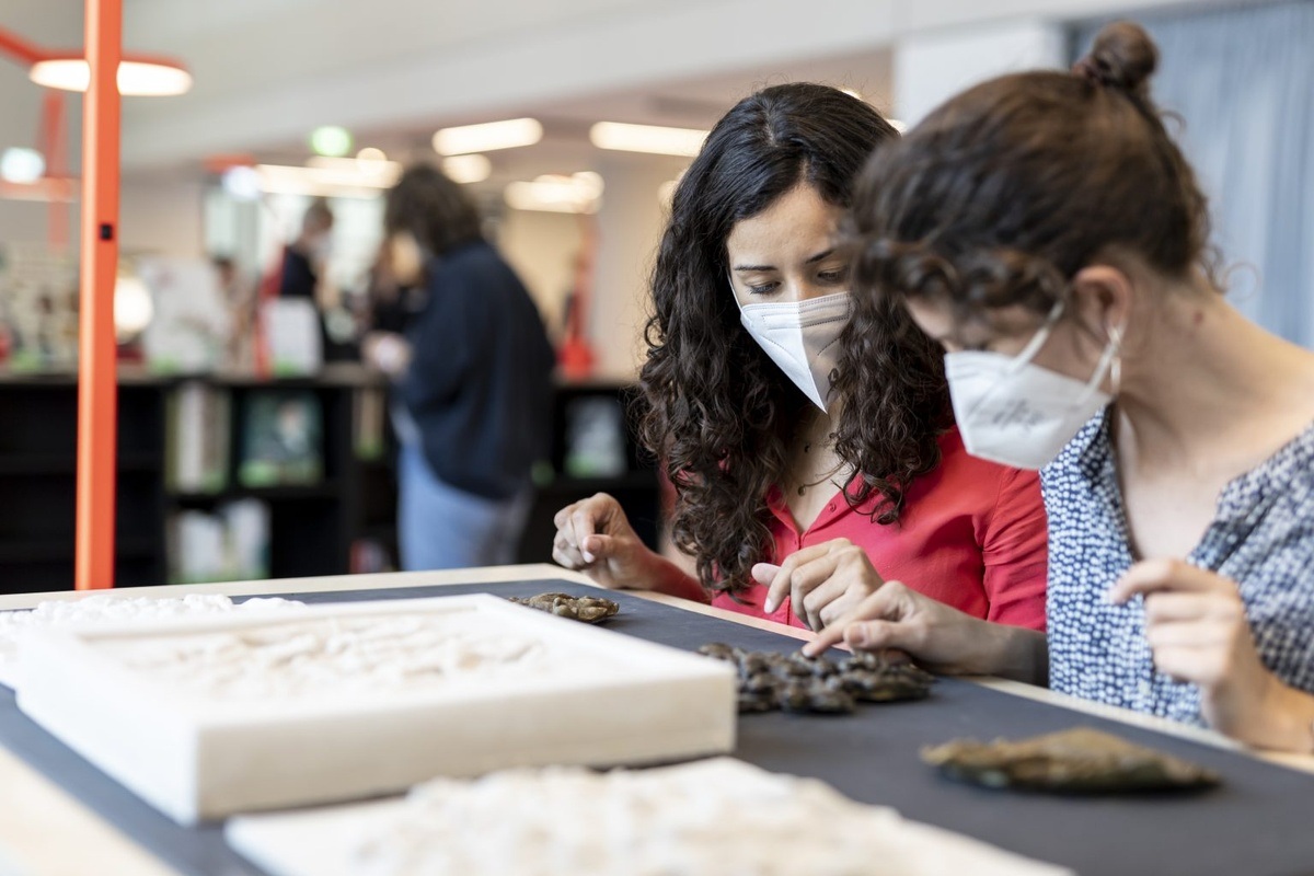 On the traces of history. Guided tour of the history of the place in English