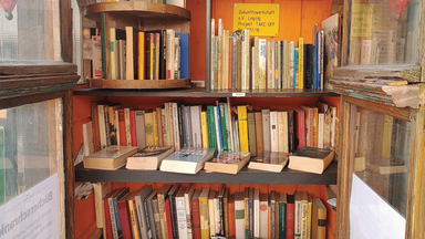 Budde-Haus unterwegs beim Grünauer Kultursommer - Lesung aus dem Bücherschrank