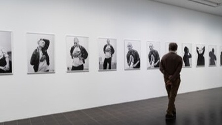 QUEERE VISIONEN: ADNAN, TILLMANS, THEK: WIE QUEERE ÄSTHETIKEN DIE KUNST BEREICHERN