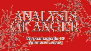 Artisttalks & Kurationsführung "Analysis of Anger"