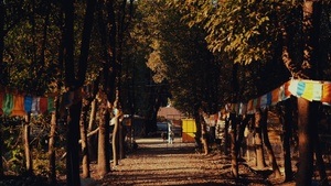 Kreativgarten Festival