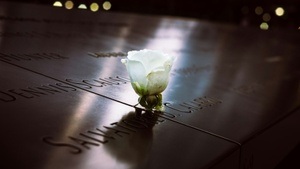 Justiz im Nationalsozialismus: Über Verbrechen im Namen des Deutschen Volkes