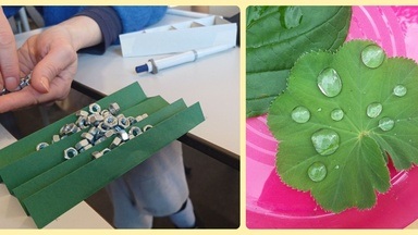 Experimente für junge Forscher*innen