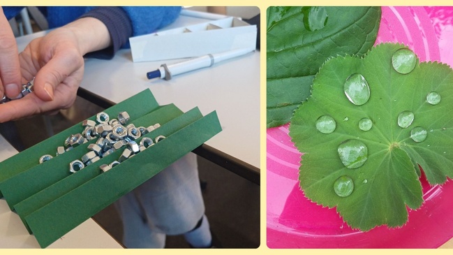 Experimente für junge Forscher*innen
