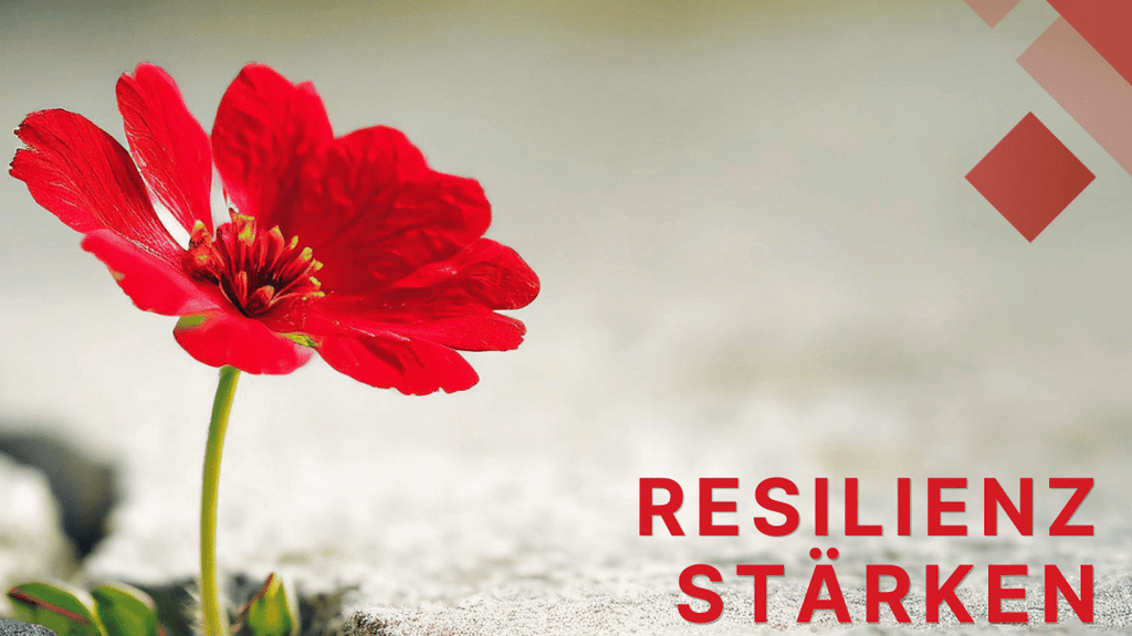 Resilienz stärken – Rückschläge in inneres Wachstum verwandeln