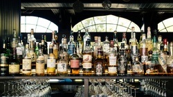 Bar Duck