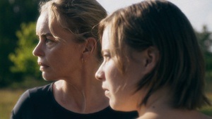 Filmgespräch: Zikaden