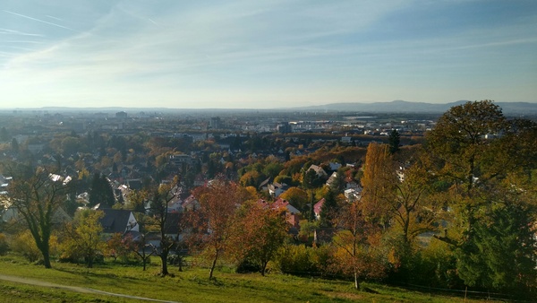 Was geht im November 2025 in Bonn?