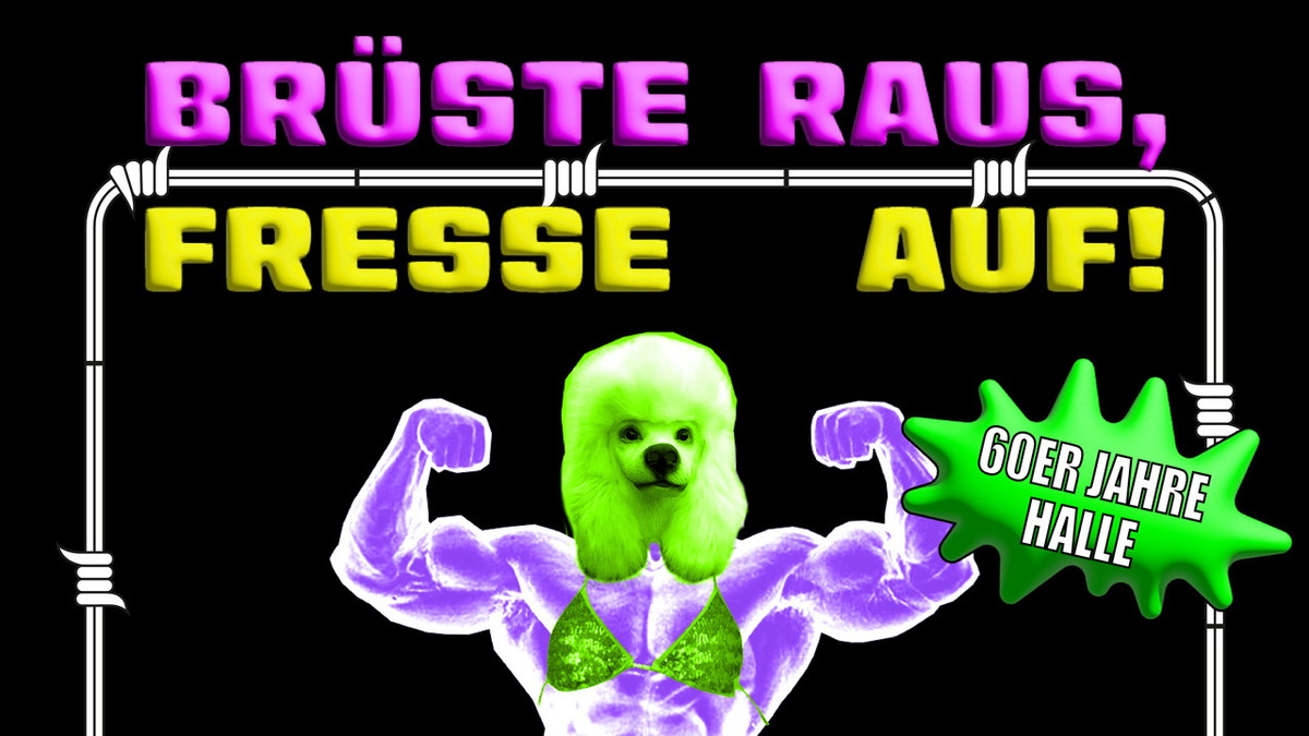 Brüste raus - Fresse auf! - F*tzen-Rap unzensiert
