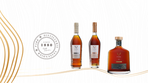 Rendezvous mit Park Cognac