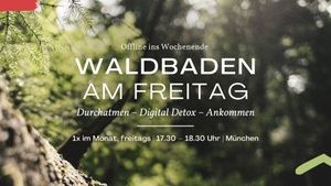 Offline ins Wochenende: Waldbaden am Freitag