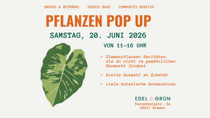 Pflanzen POP UP (Zimmerpflanzen, die du nicht im gewöhnlichen Baumarkt findest)