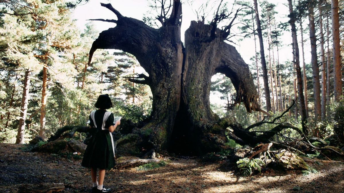 Pans Labyrinth (Best of Cinema)