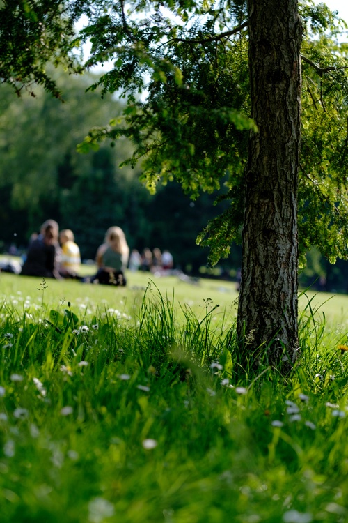 Aplerbecker Familientage / Trödelmärkte im Rodenbergpark