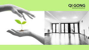 Kraftvoll in 2026 mit Qi Gong (Krankenkassenkurs)