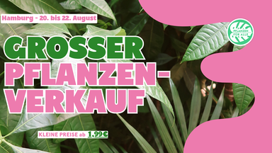 Großer Pflanzenverkauf - Hamburg