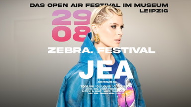 zebra. Festival