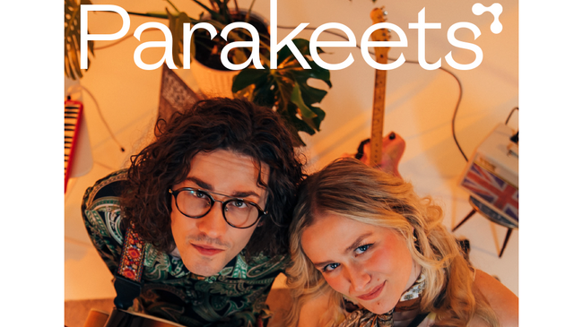 Parakeets (Wohnzimmerkonzert)