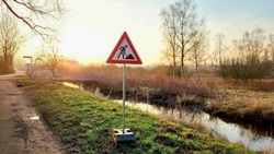 Das Moorburger Moor