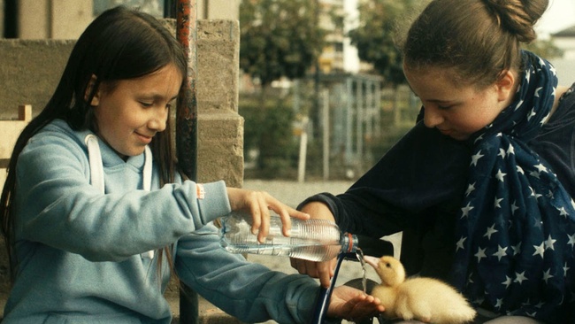 Großes Kinderkino: Zugvögel – wenn Freundschaft Flügel verleiht
