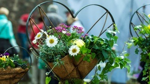 Themenführung für Singles: Grobbe und Deggel