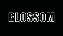 Blossom