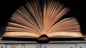 Lesung: Ein Mädchen aus Koge - mit Anne M. Weilandt