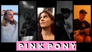 Pink Pony @StereoWonderland