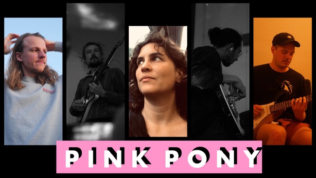 Pink Pony @StereoWonderland