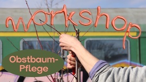 Wochenend-Workshop: Obstbaumpflege